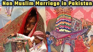 Pakistani Hindu wedding|Hindu wedding culture|Hindu community|Hindu marriage|Hindu village