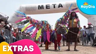 Realizan edición 59 de la Feria Internacional del Burro en el Estado de México | Hoy Día | Telemundo