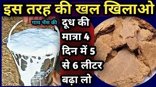 इस तरह की खल खिलाओ||इस तरीके से,गाय भैंस की दूध की मात्रा 4 दिन में 5 से 6 लीटर बढ़ा लो👍👉