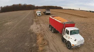 Finishing up a Corn Field - Harvest 2020 Chasing a Gleaner S77 - Fulton County - Ohio - 5K