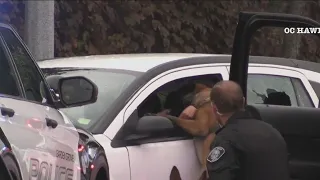 Police use K9 to get pursuit suspect out of car