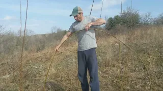 Making a Living Willow Hut Part 1
