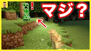 【マイクラ】え？マジ無理っす！さよなら…/動物園作り22【小学生マイクラ実況】