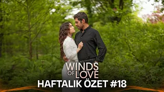 Winds of Love Weekly Summary #18 | Rüzgarlı Tepe Haftalık Kolaj #18 (Multi Sub)