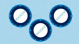 CRISPR technique speeds development of cancer treatments