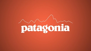 Patagonia: The Paradox of an Eco-Conscious Company