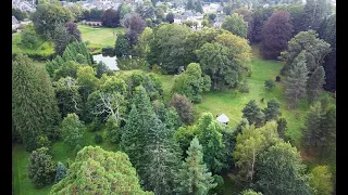 EN CORRÈZE : VISITE D’UNE COLLECTION D’ARBRES AUX DIMENSIONS EXCEPTIONNELLES ET D’UN JARDIN DE CURÉ