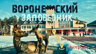 Воронежский природный биосферный заповедник. Бобровый городок. Наш экотуризм.