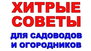 Хитрые советы для садоводов и огородников. Дача, сад, огород.