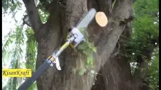 How to Cut a Branch Tree | Kisankraft