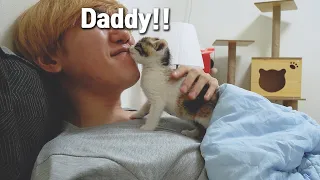 Every night, the Rescued Kitten Wake me Up with Kiss!!!