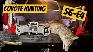 Her First Coyote Hunt Ever! | Coyote Hunting - S6  E. 4