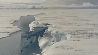 Iceberg 'almost the size of Greater London' calves from Antarctic ice shelf