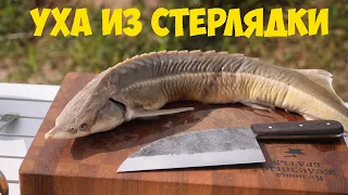 Уха из стерляди на костре. Сербский нож.