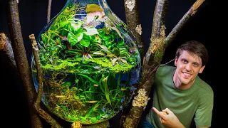 Huge Ecobulb Riparium Jungle for Rare Fish on DIY Branch Stand