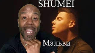 NEW RELEASE | SOULFUL UKRAINIAN | SHUMEI - Мальви | REACTION