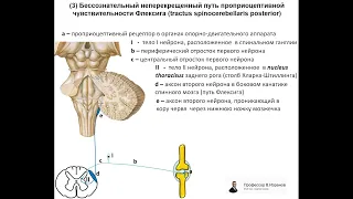 Путь Флексига. Запись  2023. 04. 25