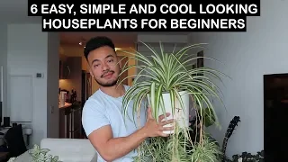 EASY HOUSE PLANTS FOR BEGINNERS