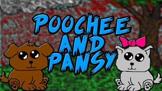 Poochee and Pansy Analysis