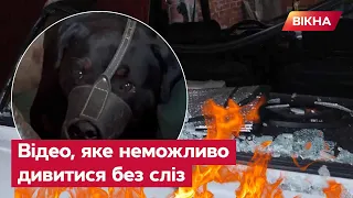 💔"Лапка, МЕНІ ЗА ТЕБЕ БОЛЯЧЕ": місцеві з Костянтинівки НЕ СТРИМУЮТЬ СЛІЗ після обстрілу