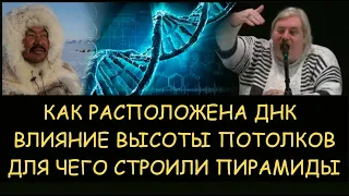 ✅ Н.Левашов: Как расположена ДНК. Влияние высоты потолков. Для чего строили пирамиды. Блокировки