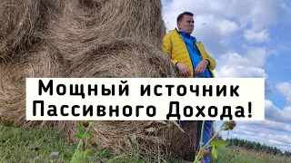 Пассивный Доход на Стейкинге Криптовалюты! 50% годовых с выводом % каждый день!