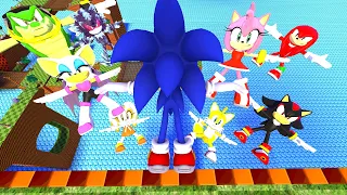 Sonic Ragdoll Funny Moments - Garry's Mod