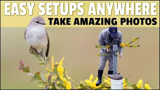 How to Build Setups to Take Fantastic Bird Photos - Step by Step Guide Showing Exactly How I Do It