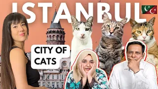 Pakistani Reaction 🇹🇷 The Cats (& Humans) of Istanbul