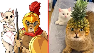 Your Cat Thinks About The Roman Empire? | Cat Memes