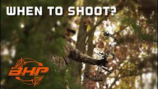 When to shoot?  Archery Deer Hunting tips about taking your shot