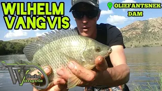 Kurper Fishing at Olifantsnek Dam