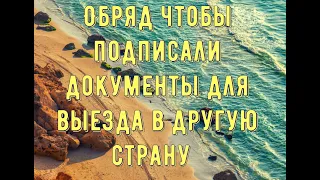 Обряд чтобы подписали документы для выезда в другую страну выезд за границу @Андрей Дуйко