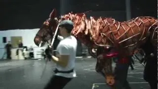 War Horse Puppetry Rehearsals