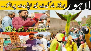 Lahore Shalimar Sunday birds market Mai Aj awam Ka Bht Rush😱| Market Mai Bohat kam Price pr Birds🥳