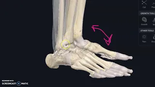 Ankle sprain bothering cycling?