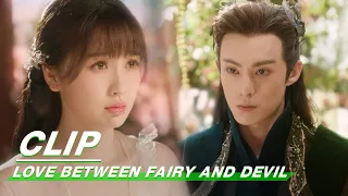 Clip: Dongfang Qingcang Is Jealous Of Changheng | Love Between Fairy and Devil EP10 | 苍兰诀 | iQIYI