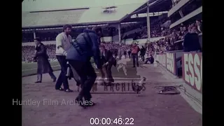 Tottenham Hotspurs Crowd, 1980s - Archive Film 1084350