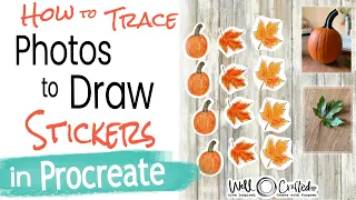 How to Draw Stickers with Procreate-Trace Photos to Make Stickers