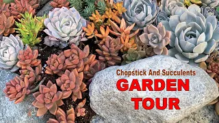 Succulent Garden Tour,  An Outdoor Garden Of Colorful Succulents @ChopstickandSucculents