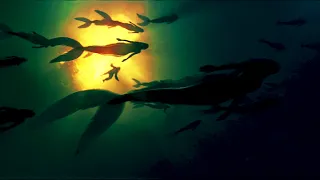 On Stranger Tides: All Mermaid Soundtracks