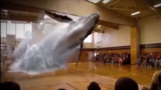 Extended Reality Experience ( Humpback Whale jumps out from Gym )