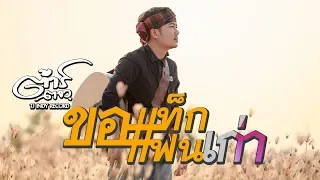 ขอแท็กแฟนเก่า - ต้าร์ ตจว [OFFICIAL Lyric]