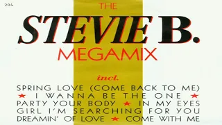 THE STEVIE B MEGAMIX