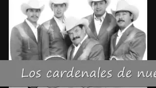 Los cardenales de nuevo leon " Mi complice "