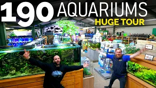 The BIGGEST Fish Shop Tour EVER! **Incl. Behind The Scenes!!** Over 190 Aquariums!!