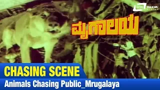 Mrugalaya -- ಮೃಗಾಲಯ | Animals Chasing Public|FEAT. Ambarish, Geetha