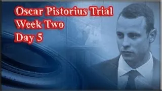 Oscar Pistorius Trial: Friday 14 March 2014, Session 1