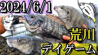 【荒川シーバス・チニング】東京湾奥 荒川河口で初フィッシュ！色んな魚が釣れました！