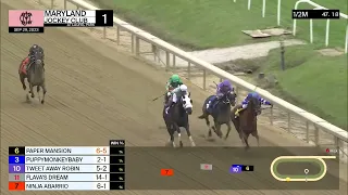 Laurel Park Carrera 1 - 29 de Septiembre 2023